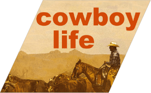 Cowboy Life 23