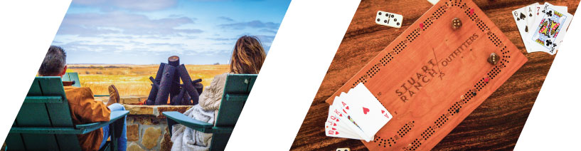 Living Room and Back Porch