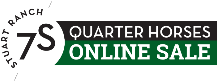 Online Quarter Horse Sale